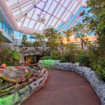 Texas State Aquarium - Interior - Flamingo Exhibit