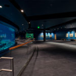 Texas State Aquarium - Interior - Shark Tank