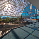 Texas State Aquarium - Interior Exhibit with Skylight